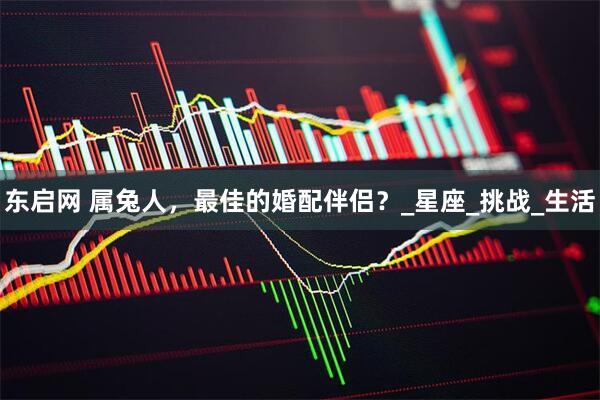 东启网 属兔人,最佳的婚配伴侣?_星座_挑战_生活