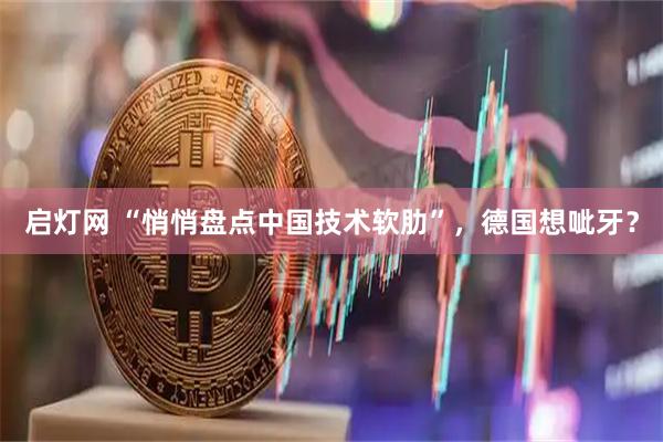 启灯网 “悄悄盘点中国技术软肋”，德国想呲牙？